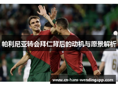 帕利尼亚转会拜仁背后的动机与愿景解析