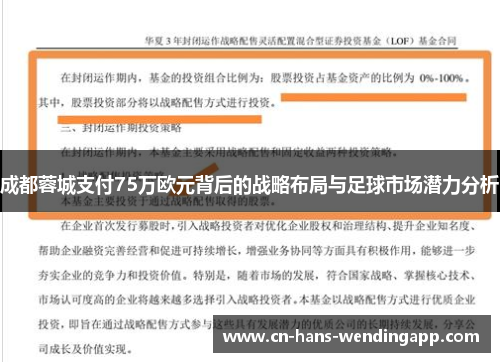 成都蓉城支付75万欧元背后的战略布局与足球市场潜力分析 成都蓉城支付75万欧元背后的战略布局与足球市场潜力分析