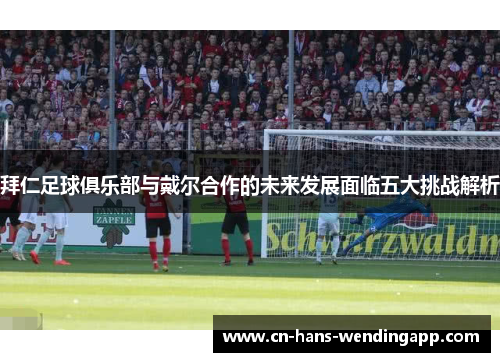 拜仁足球俱乐部与戴尔合作的未来发展面临五大挑战解析