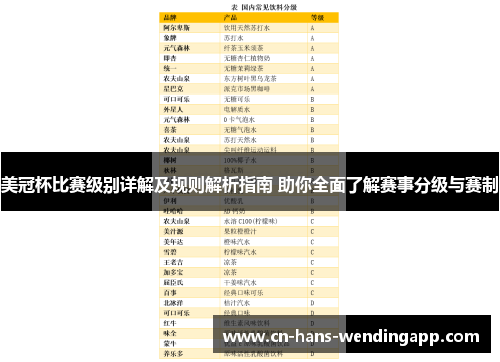 美冠杯比赛级别详解及规则解析指南 助你全面了解赛事分级与赛制