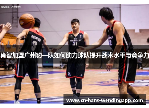 肖智加盟广州豹一队如何助力球队提升战术水平与竞争力