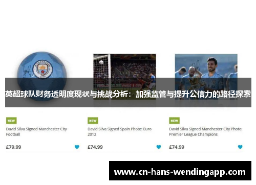 英超球队财务透明度现状与挑战分析：加强监管与提升公信力的路径探索