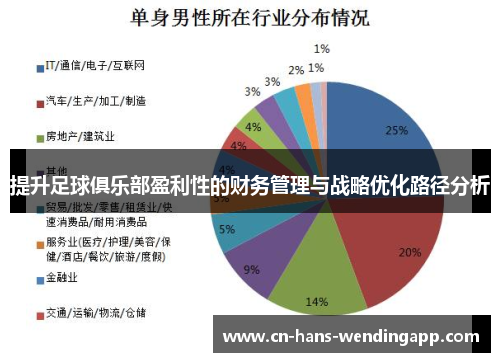 提升足球俱乐部盈利性的财务管理与战略优化路径分析