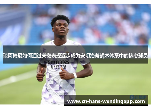 琼阿梅尼如何通过关键表现逐步成为安切洛蒂战术体系中的核心球员