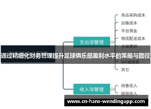 通过精细化财务管理提升足球俱乐部盈利水平的策略与路径