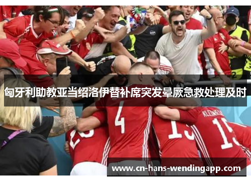 匈牙利助教亚当绍洛伊替补席突发晕厥急救处理及时