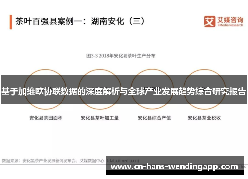 基于加维欧协联数据的深度解析与全球产业发展趋势综合研究报告