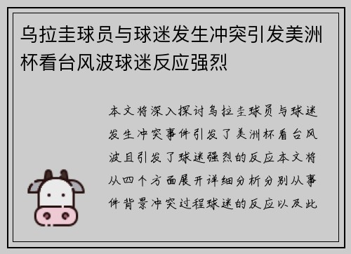 乌拉圭球员与球迷发生冲突引发美洲杯看台风波球迷反应强烈